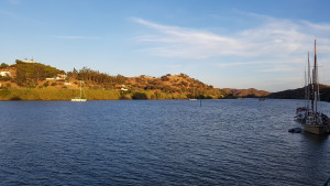 20170801_210331.jpg
