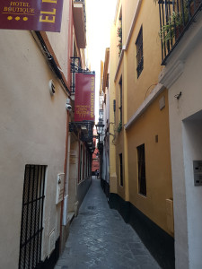 20170802_194322.jpg