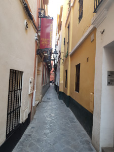 20170802_194325.jpg