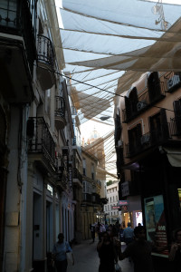 DSCF4577.JPG