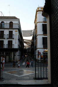 DSCF4586.JPG