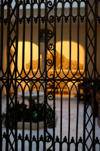 DSCF4594.JPG