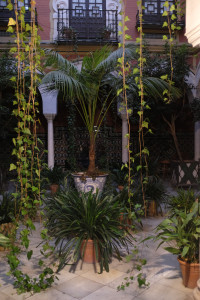 DSCF4597.JPG