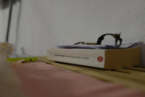 DSCF4613.JPG