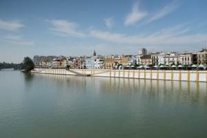 DSCF4617.JPG