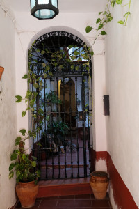 DSCF4642.JPG