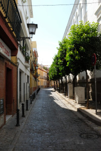 DSCF4648.JPG