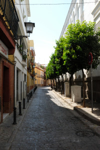 DSCF4649.JPG