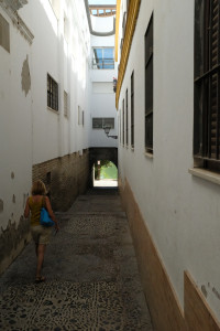 DSCF4675.JPG