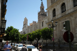 DSCF4685.JPG
