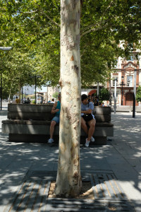 DSCF4693.JPG