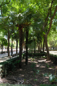 DSCF4694.JPG