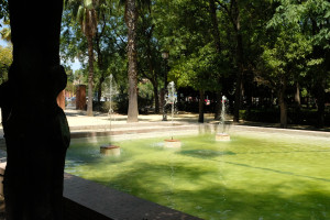 DSCF4695.JPG