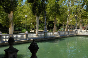 DSCF4705.JPG