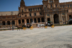 DSCF4719.JPG