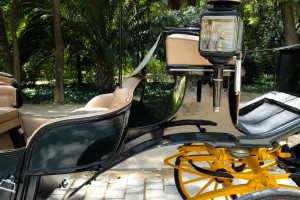 DSCF4721.JPG