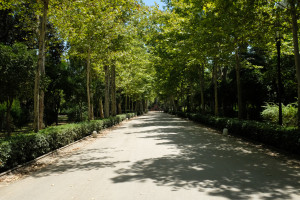DSCF4723.JPG