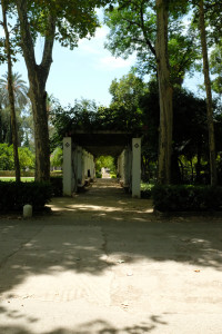 DSCF4725.JPG