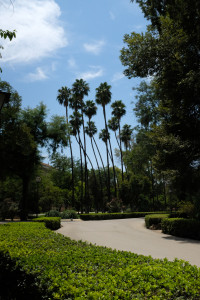DSCF4726.JPG