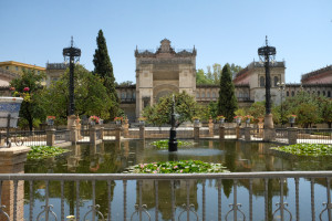 DSCF4732.JPG