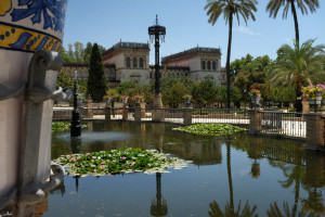 DSCF4733.JPG