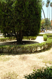 DSCF4734.JPG