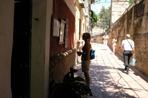 DSCF4739.JPG