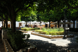 DSCF4744.JPG