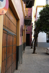 DSCF4762.JPG