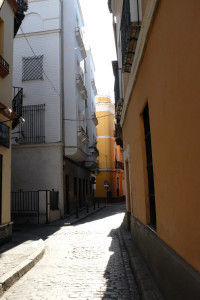 DSCF4763.JPG