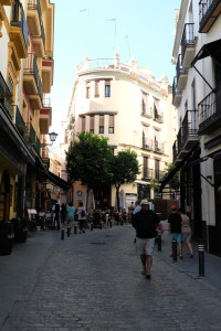 DSCF4765.JPG