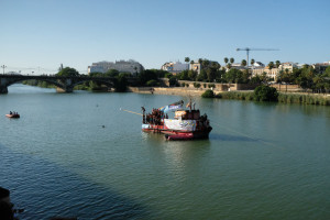 DSCF4771.JPG