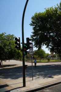 DSCF4795.JPG