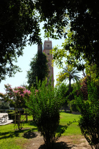 DSCF4796.JPG