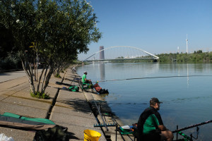 DSCF4799.JPG