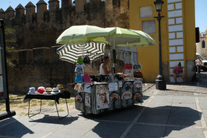 DSCF4813.JPG