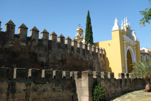 DSCF4814.JPG