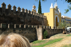 DSCF4815.JPG