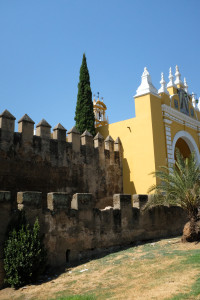 DSCF4817.JPG