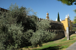 DSCF4818.JPG