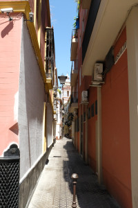DSCF4827.JPG