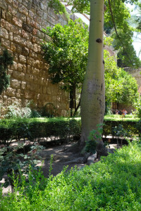 DSCF4832.JPG