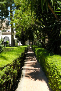 DSCF4833.JPG