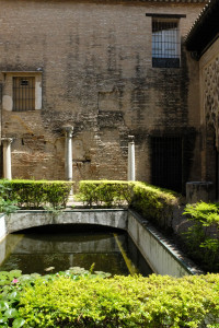 DSCF4836.JPG