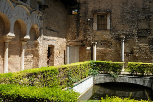 DSCF4837.JPG