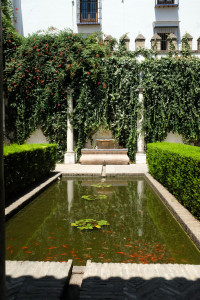 DSCF4839.JPG
