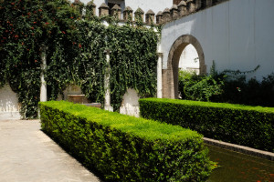 DSCF4840.JPG