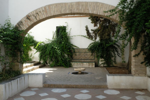 DSCF4842.JPG