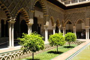 DSCF4858.JPG