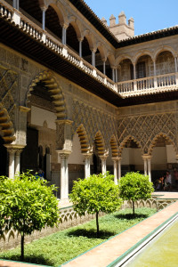 DSCF4859.JPG